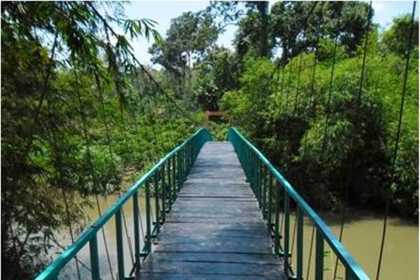  Jembatan Gantung Putus, Puluhan Pelajar Jatuh ke Sungai Sedalam 5 Meter