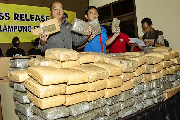  Pemilik Ganja 386 Kg Tewas Terkena Peluru Petugas