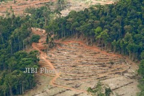  SPSI Riau Minta Kemen LHK Patuhi Putusan MA