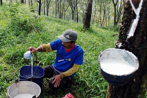  Ekonomi China Optimis Positif, Harga Karet Lanjutkan Penguatan