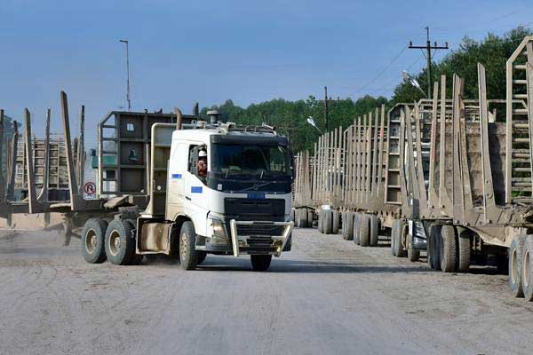 Pekerja memarkir truk angkut kayu yang kosong di area Estate Pelalawan PT Riau Andalan Pulp and Paper (RAPP) di Kabupaten Pelalawan, Riau, Jumat (20/10)./ANTARA-FB Anggoro