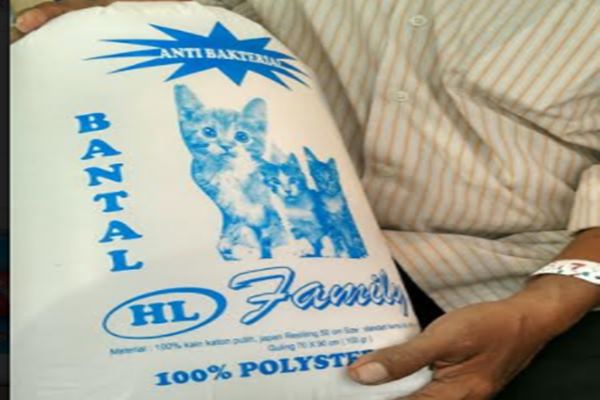  Berbisnis Teman Tidur