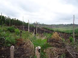  AKSI PEKERJA RAPP: 2.000 Aparat Gabungan di Riau Siap Mengamankan