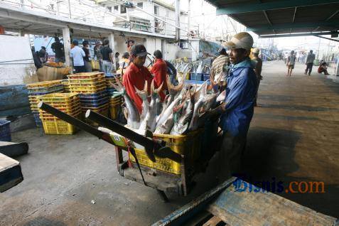  Sering Tolak Seafood Indonesia, Ini Parameter yang Dipakai AS