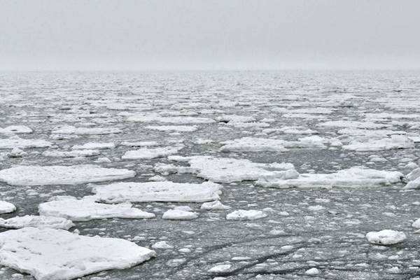 Laut Arktik Menipis Lebih Cepat
