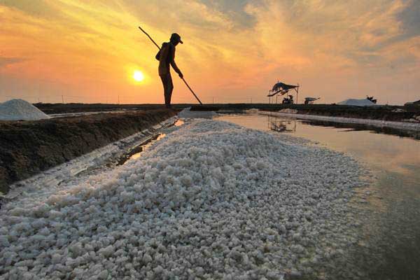  PRODUKSI GARAM PABRIK INDUSTRI : BUMD di Jateng Tuntut Proteksi