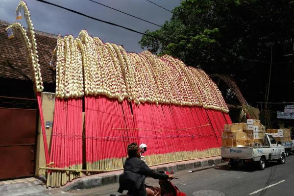  Lembaga Perlindungan Konsumen Bali Imbau Waspadai Janur Berformalin