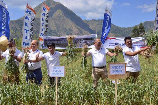  Pupuk Indonesia Imbau Petani Gunakan Pupuk Resmi