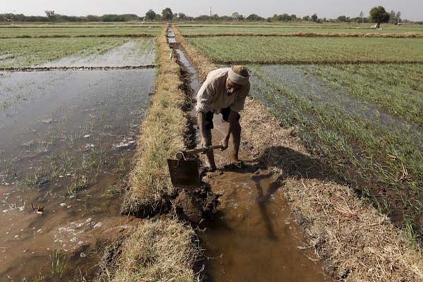  Petani Sejahtera? Ini Kata Kepala BPS