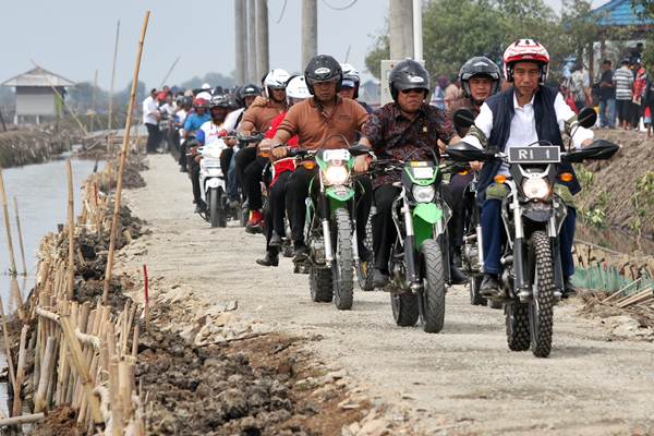  Presiden Jokowi Naik Motor Trail Tinjau Lahan Tambak