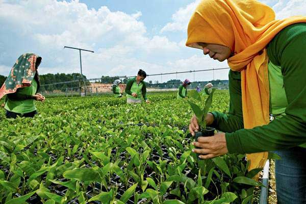  Bappenas: Riau Dapat Cetak Pertumbuhan Ekonomi Tinggi