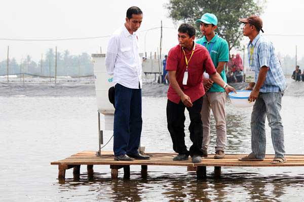  PLN Pasok Listrik untuk Petambak di Muara Gembong