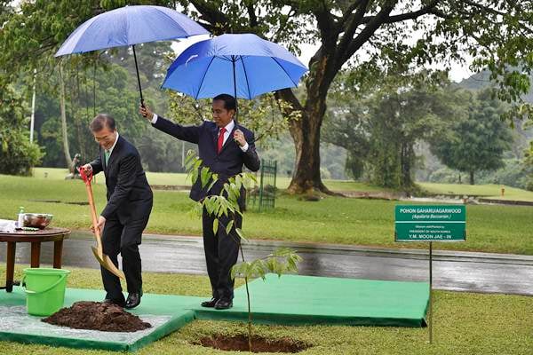  Presiden Jokowi Memayungi Presiden Korsel Moon Jae-in