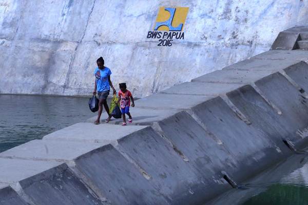  Pengendali Sedimen Danau Sentani Papua