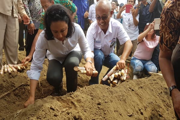  Pemerintah Targetkan Protas Tebu Rakyat 100 Ton/Ha pada 2018