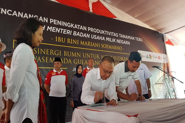  PTPN XI Mulai Diversifikasi Edamame Tahun Depan