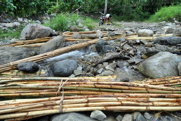  Penyelundupan Rotan Senilai Rp857 juta Berhasil Digagalkan