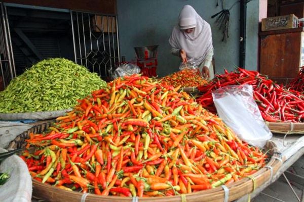  GUBERNUR GANJAR: Cabai Paling Pedas Jateng Dijual di Sumbar