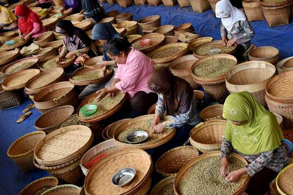  Bantu Tingkatkan Produksi Kopi, Pusri Bangun Demplot