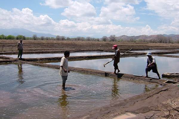  Produksi Garam Nasional Capai 1,1 Juta Ton