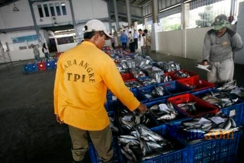  PEMASARAN IKAN TUNA : Jalur Alternatif Mulai Dicari