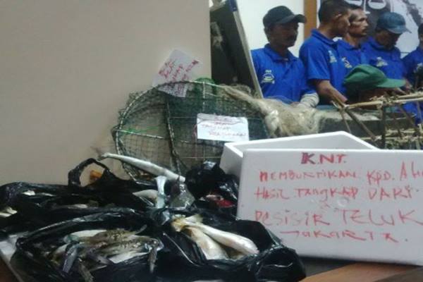  Banyak Pengusaha Internasional Ingin Impor Ikan dari Perindo