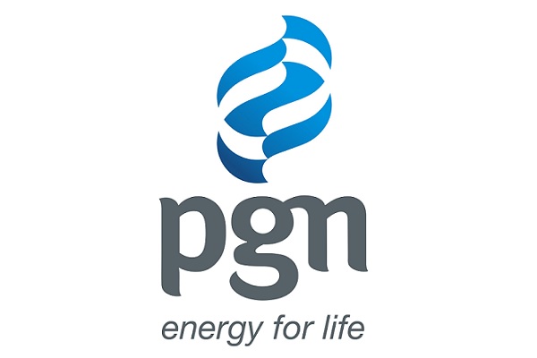 Logo PGN/ repro