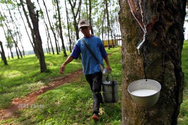 Diawali Kemudahan Perizinan, Simalungun Bakal Serap Pekerja Kebun Besar-Besaran