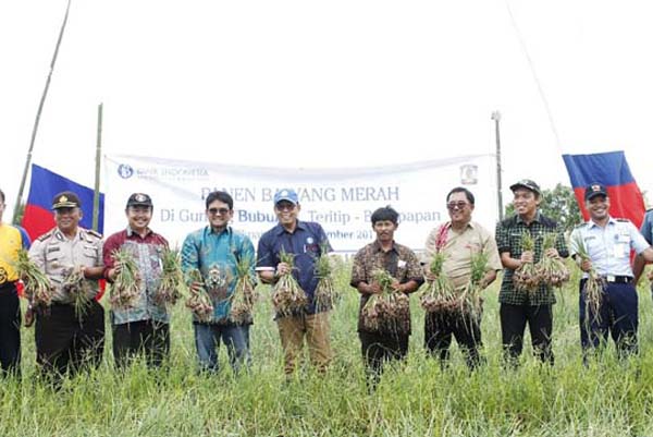  Petani Bawang Merah Balikpapan Sulit Tembus Pasar Tradisional