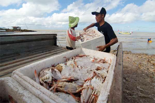  EKSPOR IKAN SEGAR JATENG : AS & Jepang Pasar Utama  