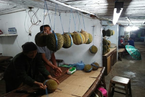  WISATA MADIUN: Pasar Durian Batil Jadi Favorit Wisatawan