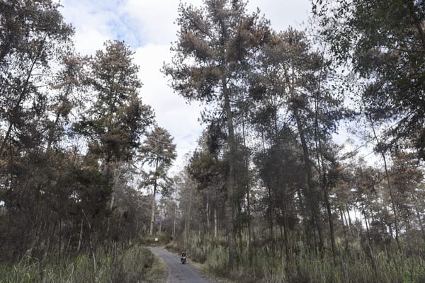  Aktivitas G. Agung Berpotensi Rusak 10.800 Ha Padi & 7.700 Ha Palawija