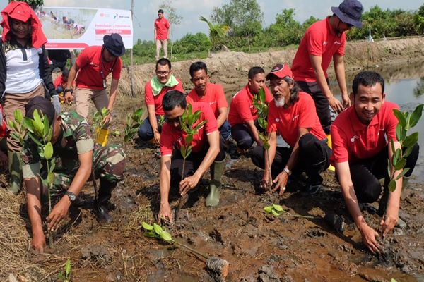  MOR I Kembali Hijaukan Pesisir Medan dengan Ribuan Mangrove