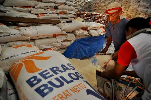  Harga Beras Melambung, Pemerintah Cek Potensi Panen