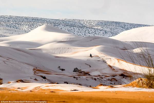 Gurun Sahara Ditutupi Salju untuk Ketiga Kalinya 