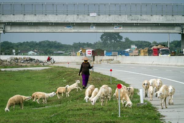  Pembangunan Jalan Tol Solo-Ngawi