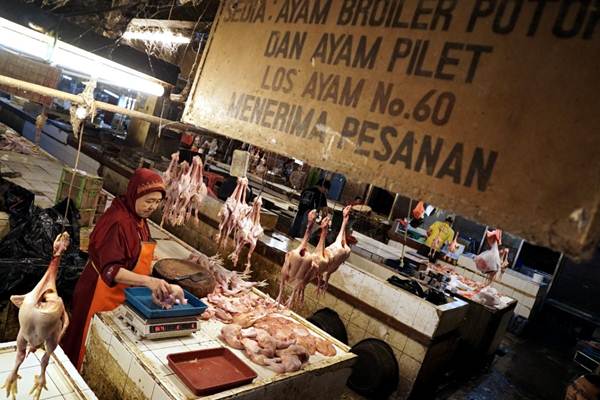  Kenaikan Harga Daging Ayam