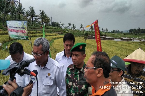  Luas Tambah Tanam Padi di Ponorogo Mencapai 78.000 Ha
