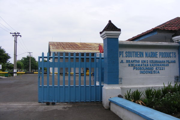  Industri Surimi Disarankan Diversifikasi dan Relokasi