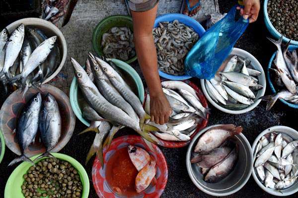  Sumbar Ajak Perum Perindo Garap Potensi Perikanan di Mentawai