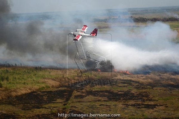  Texas Dilanda Kebakaran Hutan, Dua Jalan Tol Ditutup