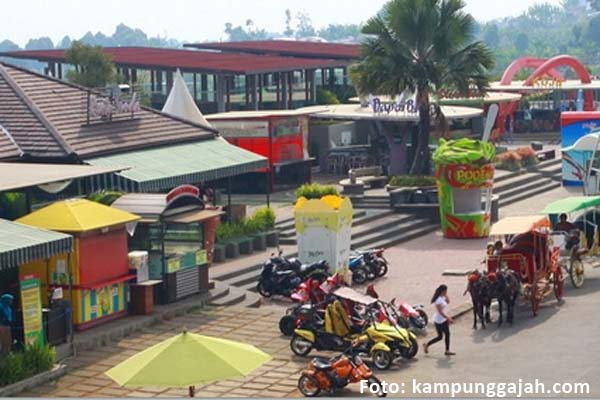  Pailit, Taman Wisata Kampung Gajah ‘Mati Segan Hidup Tak Mau’