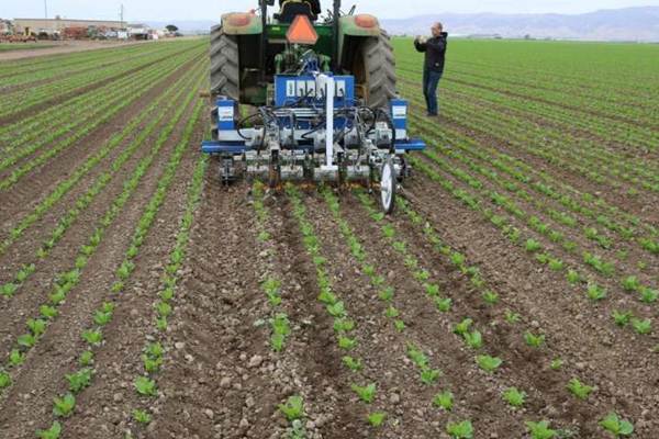  INOVASI TEKNOLOGI : Robot Pencabut Gulma