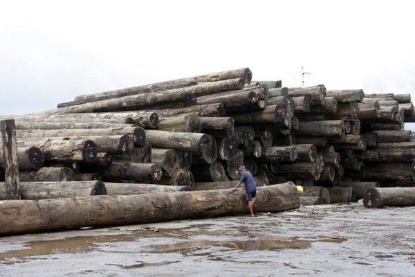  Pertumbuhan Produksi Kayu Bulat Diperkirakan Berlanjut