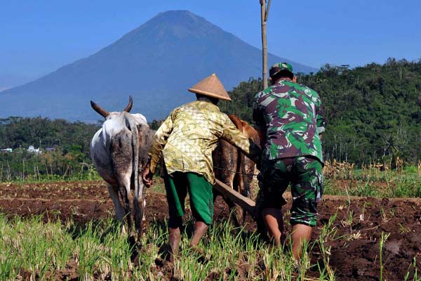  Hore, Tunjangan Babinsa akan Ditambah!