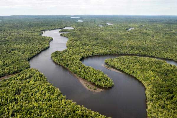  Asosiasi Pengusaha Hutan Indonesia Minta Kebijakan Satu Peta Dipercepat, Ini Alasannya