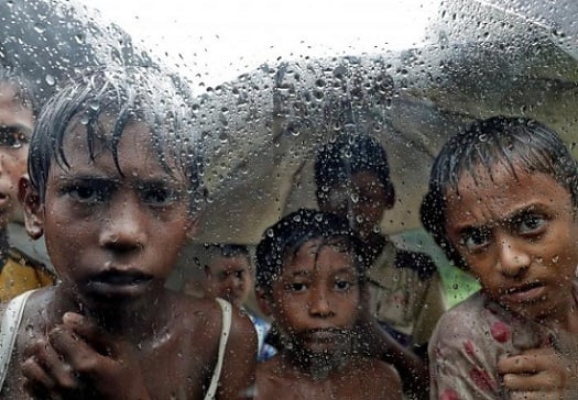  Amnesty International: Myanmar Lanjutkan Pembersihan Etnis Rohingya