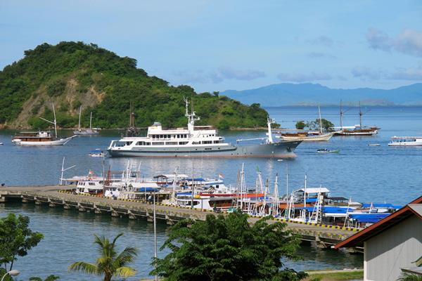  LABUAN BAJO: Badan Otorita Terkendala Alih Fungsi Lahan 