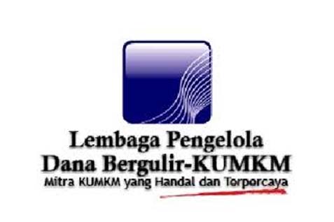  LEMBAGA PENGELOLA DANA BERGULIR : 2019, LPDB Siap Jadi Fintech