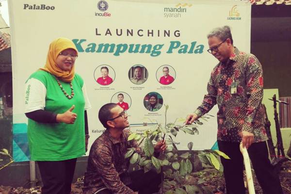 Menghidupkan Kembali Kejayaan Petani Pala di Bogor